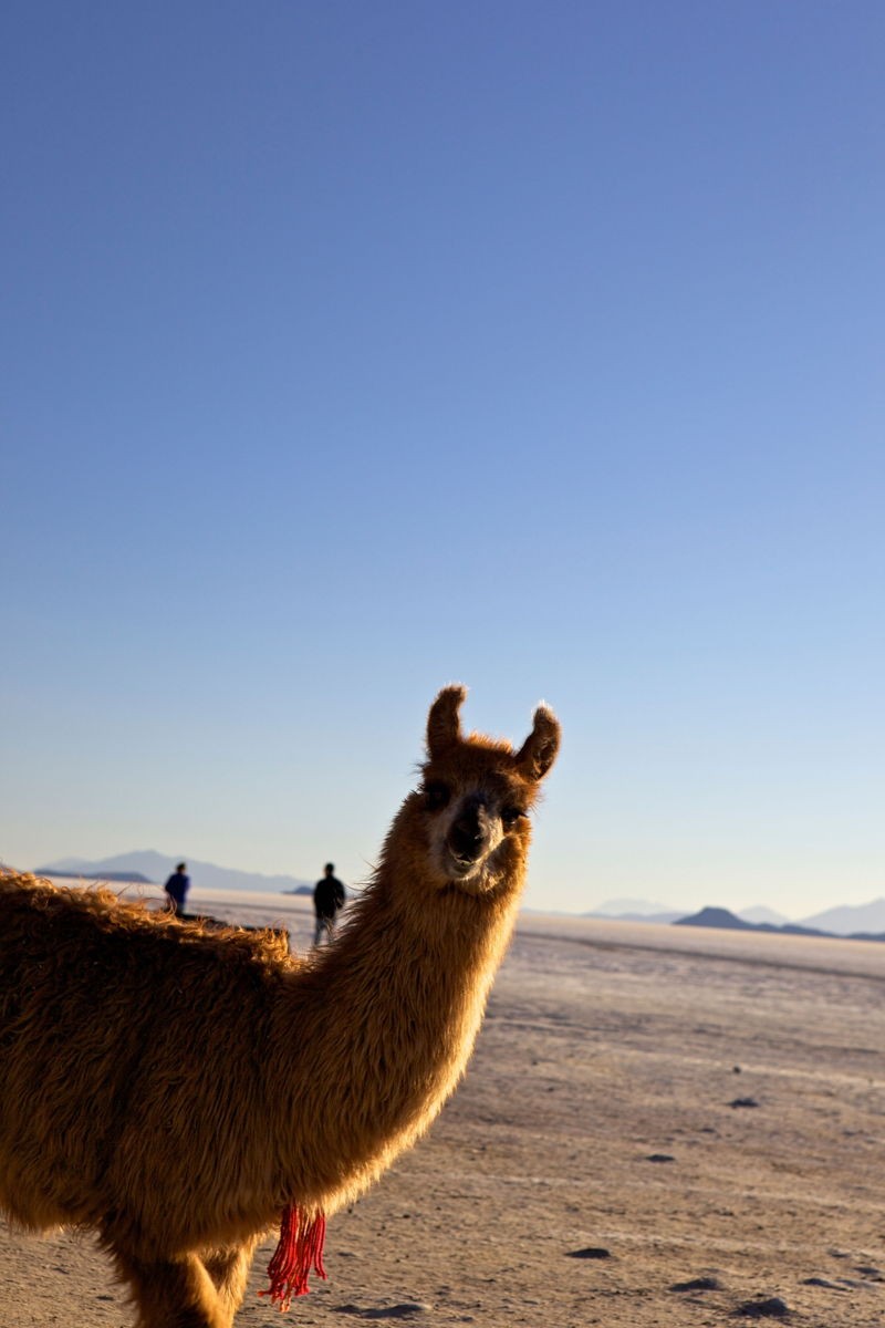 840c599e-675c-483c-8767-d29fcb72e6b1-1360x2040