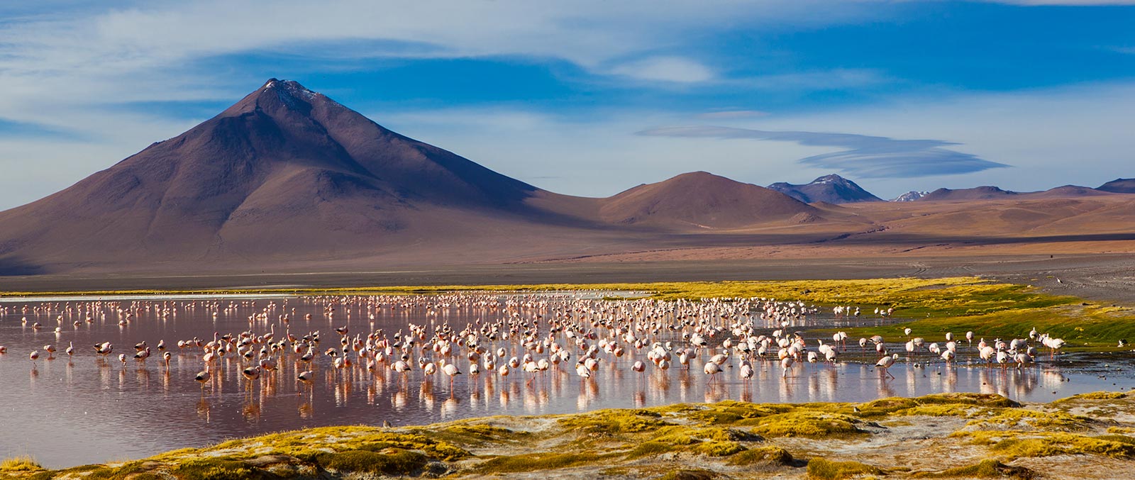 Red Lagoon - Andean Desert